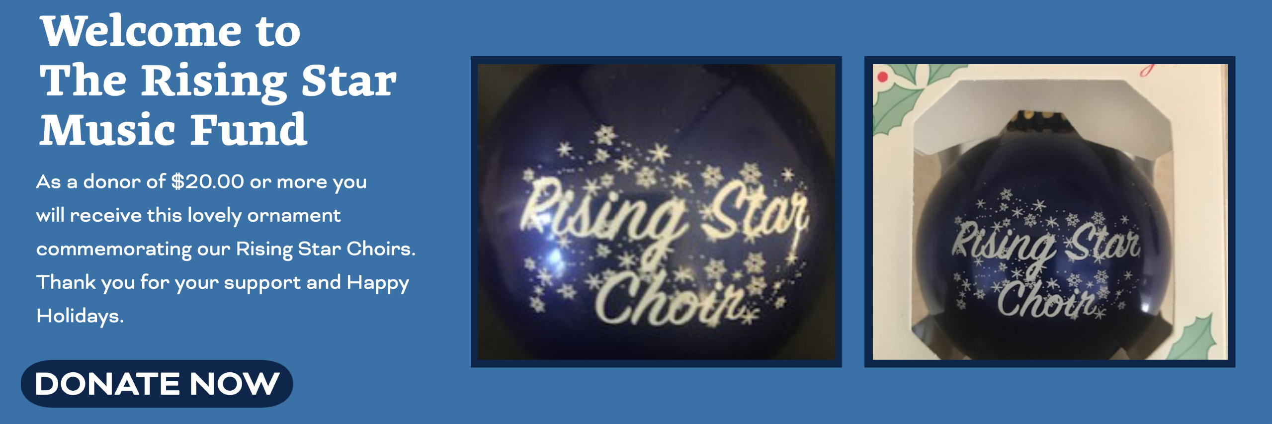 Welcome to Rising Star Music Fund